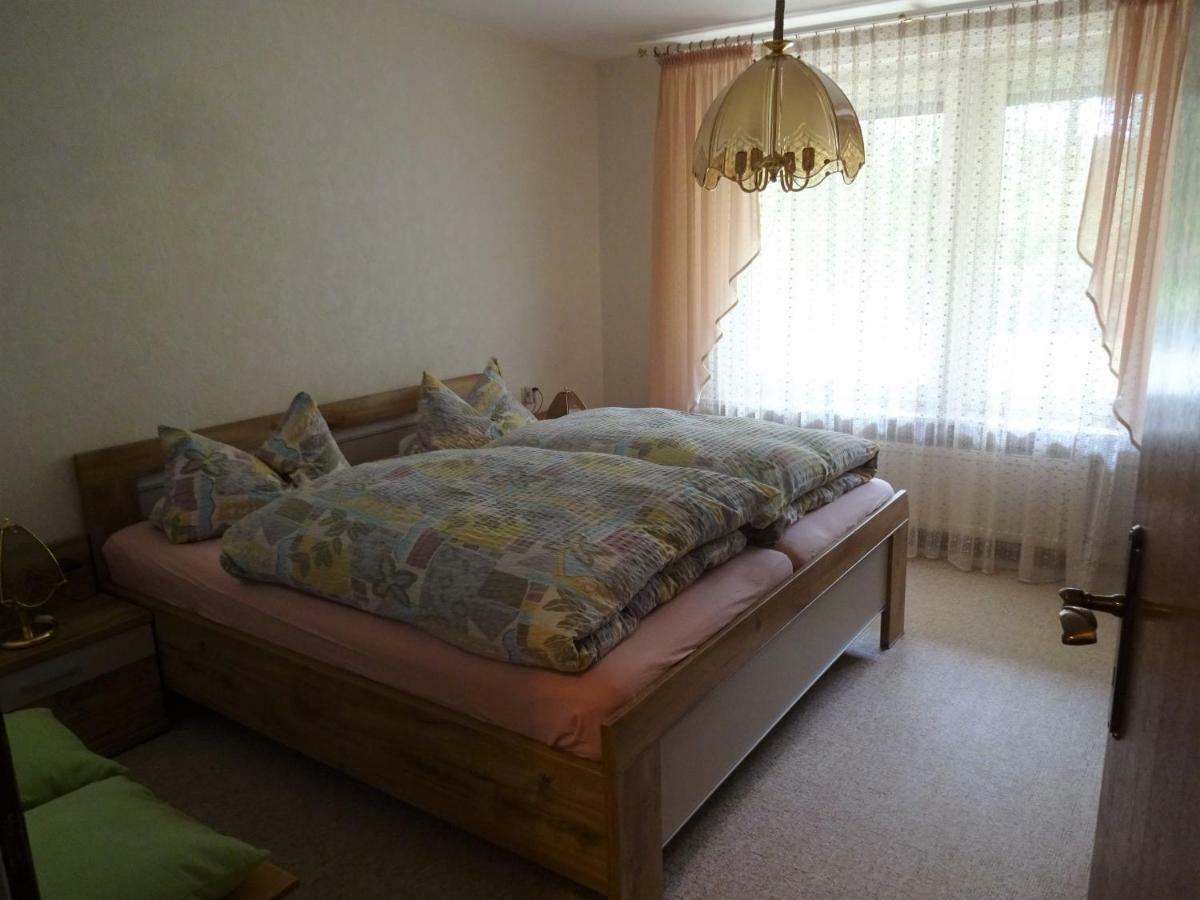 Kurparkblick Apartment Hohegeiss